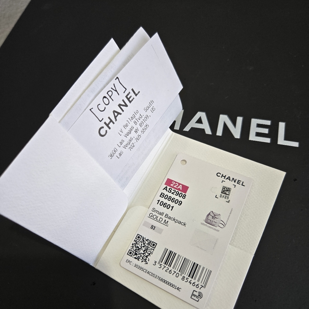 Chanel 22A Duma Backpack White With Gold Hardware - Picture 10 of 11
